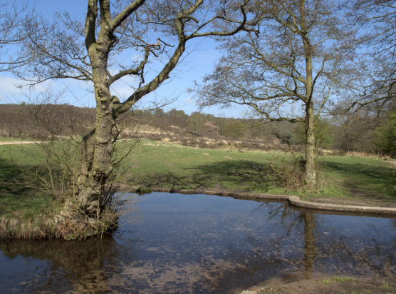 Car Locksmith Cannock