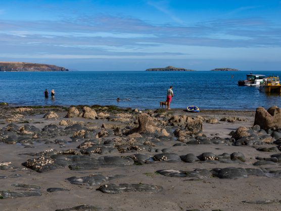 Emergency Car Locksmith