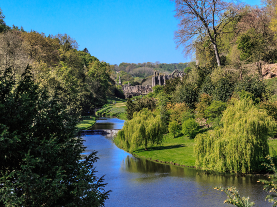 Emergency Car Locksmith